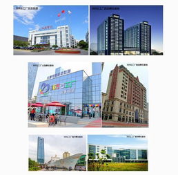 大唐網絡369云工廠運營公司成立，實業運營與建設雙輪驅動區域孵化基地全面升級